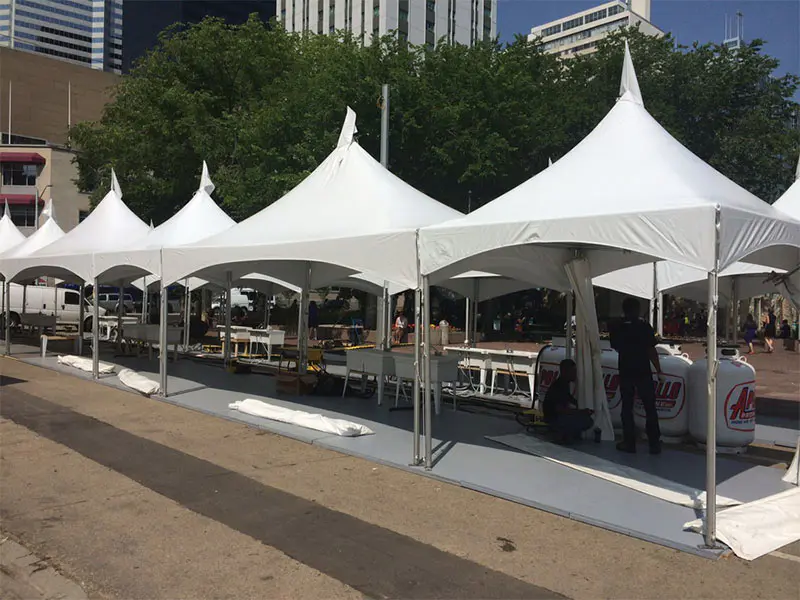 COSCO fine- quality aluminum frame canopy tents owner cold-proof