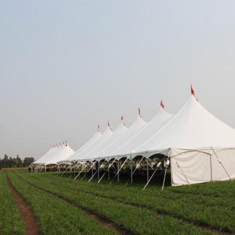 Peg and Pole Tent 40x60ft Outdoor Marquee Tent