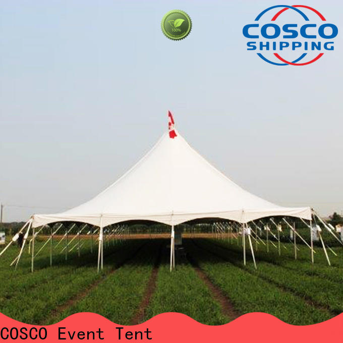 COSCO peg party tents for sale in-green for holiday