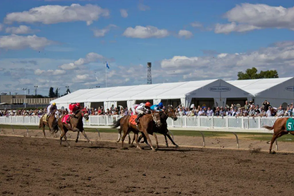 Racecourse Tent - Experience Different Speed and Passion