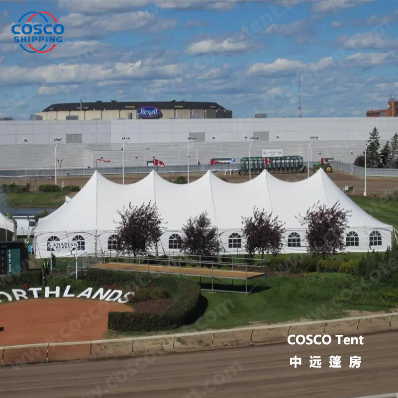 tent peg and pole long-term-use foradvertising COSCO
