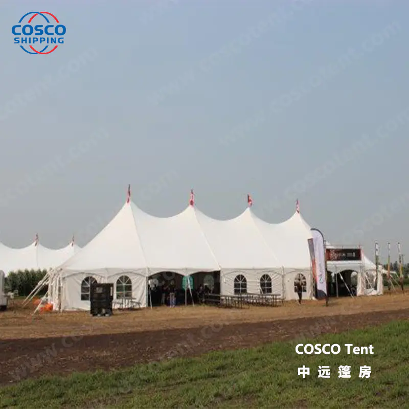 COSCO inexpensive peg and pole marquee tent for engineering