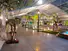 exhibition canopy tent structure arcum marquee sizes style COSCO Brand